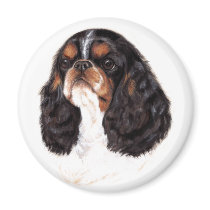 king charles/ english toy spaniel magnet : tricolo