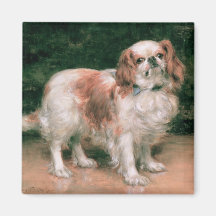 King Charles Spaniel, 1907 Refrigerator Magnet