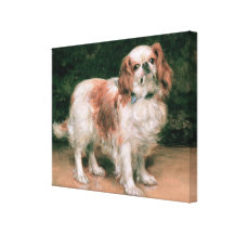 King Charles Spaniel, 1907 Stretched Canvas Prints