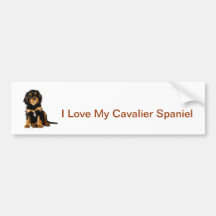 King Charles Spaniel Black & Tan Bumper Stickers