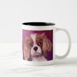 King Charles Spaniel Coffee Mugs