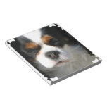 King Charles Spaniel Notepad