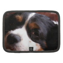 King Charles Spaniel  Wallet  Organizers