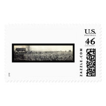 King Cotton Picking Photo 1907 Postage