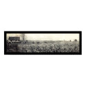 King Cotton Picking Photo 1907 posters by lc_panoramicphotos King Cotton Picking Photo 1907 posters