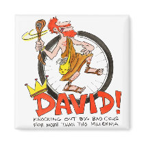 King David Pin magnets