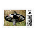 King Eider Duck - Flying postage