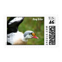 King Eider Duck postage by chesapeakie King Eider Duck postage