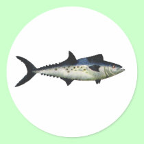 King Mackerel The MUSEUM Zazzle Gifts stickers