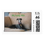 King_Maximilan.jpg, My buddy Max Postage Stamps
