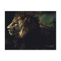 King of Beasts postcards by jonart King of Beasts postcards