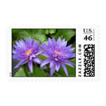 King of Siam stamps