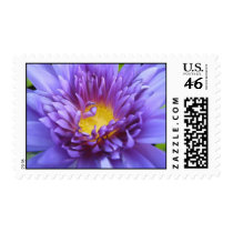 King of Siam postage