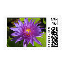 King of Siam postage