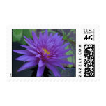 King of Siam Stamp