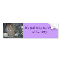 King of the Fancy bumper stickers by miyaswench King of the Fancy bumper stickers
