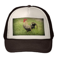 King of the Farm Mesh Hats