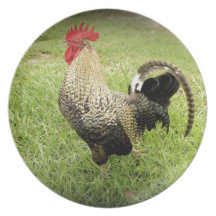 King of the Farm Party Plates