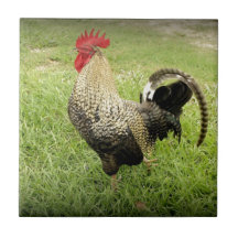 King of the Farm Tiles