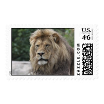 King of the forest postage stamps