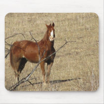 King of the Hill mousepads by knickknackrack King of the Hill mousepads