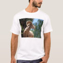 King of the Hill t-shirts by hunterseeker4 King of the Hill t-shirts