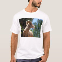 King of the Hill t-shirts