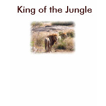 King of the Jungle 1 t-shirts by grandmadina King of the Jungle 1 t-shirts