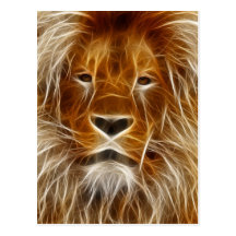 King of the Jungle Electrified Post Card