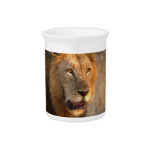 King of the Jungle Pitcher