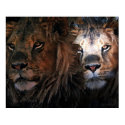 King of the Jungle posters