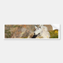 King Of The Mountain Bumper Sticker