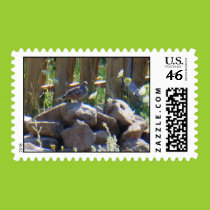 King of the mountain postage postage