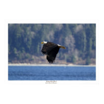 "KING OF THE WIND" Canvas Photo Print