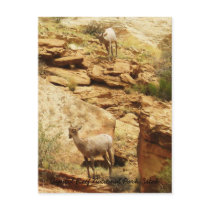King on the Mountain postcards by sumiko King on the Mountain postcards
