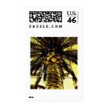 King Palm Stamp