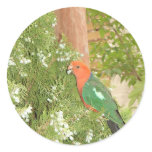 King Parrot Sticker
