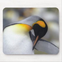King penguin mousepads by leksele King penguin mousepads