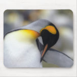 King penguin mouse mat