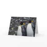 King Penguins