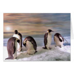 King penguins greeting card