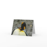 King Penguins Hugging Greeting Card