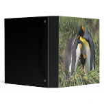 King penguins Lovers Binders