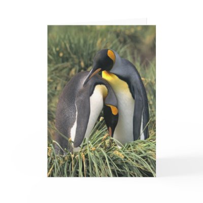 King penguins Lovers Note Card