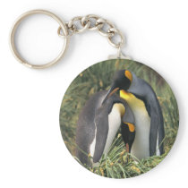 King penguins Lovers Keychain