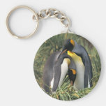King penguins Lovers Keychain