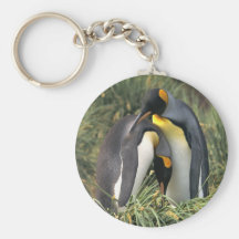 King penguins Lovers Keychain