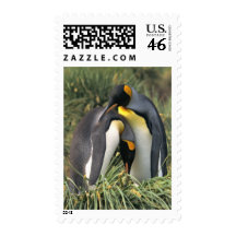 King penguins Lovers Stamp