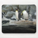 King Penguins mousepads by coffeebeankennel King Penguins mousepads