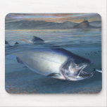 fish, salmon, king, fishing, sea, ocean, surf,